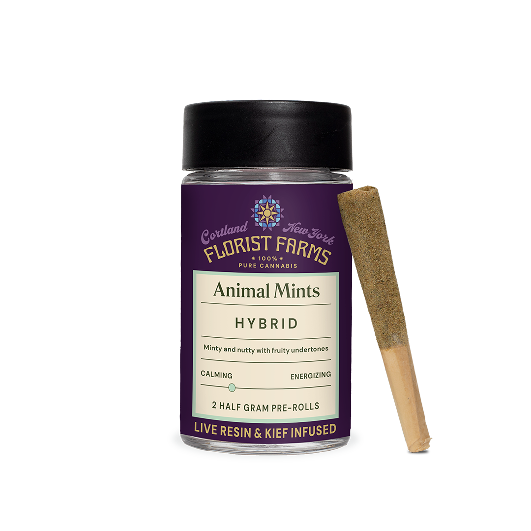 Animal Mintz | Infused & Kief Coated Pre-Rolls | 1/2 G | 2PK | Case of 24