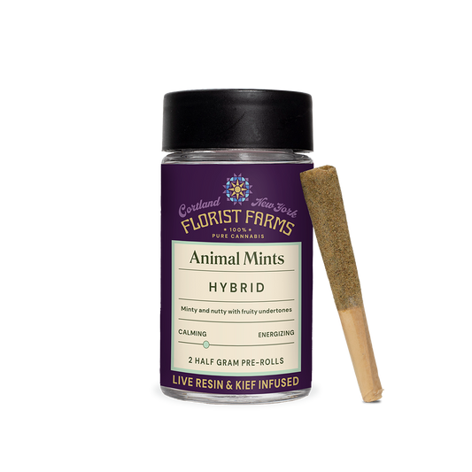 Animal Mintz | Infused & Kief Coated Pre-Rolls | 1/2 G | 2PK | Case of 24