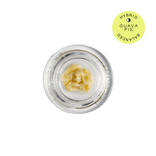 Hudson Cannabis | Rosin | Guave Pie | 1g